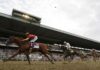 Let'em run Gulfstream Park Belmont