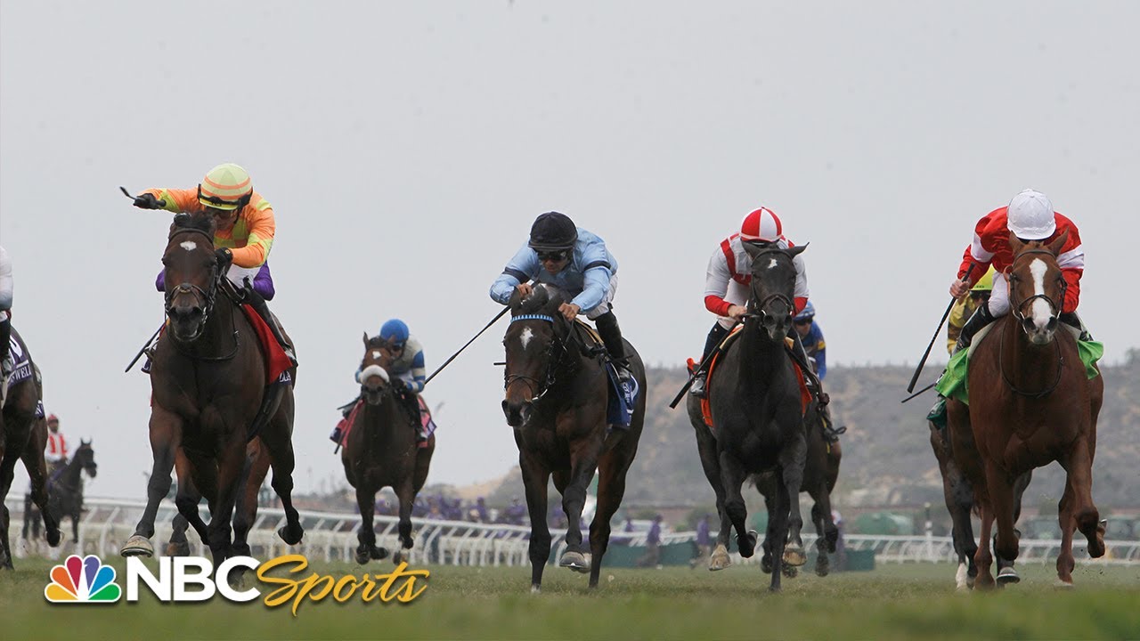 Big Horse Racing Day Breeders Cup has a full day of great racing at