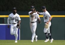 Tigers Defeat Rays 4-2 On Saturday Afternoon