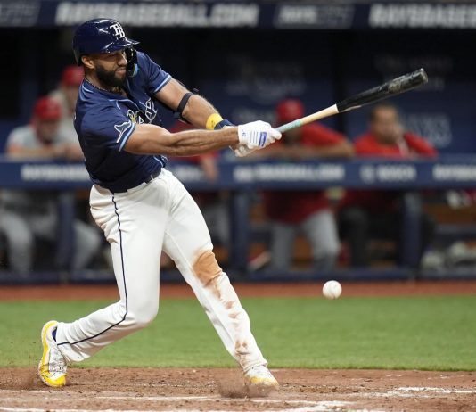 Amed Roasrio Walkoff Hit Leads Rays Past Angels