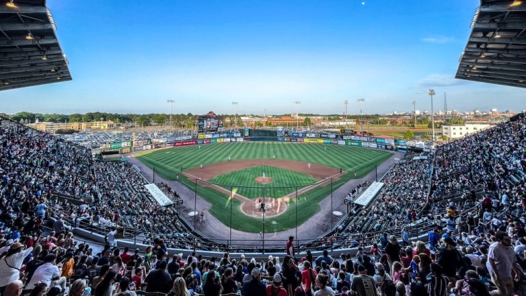 Richmond Taxpayers’ To Pay For New Minor League Baseball Park