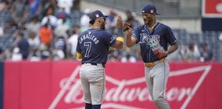 Rays Defeat Yankees 9-1