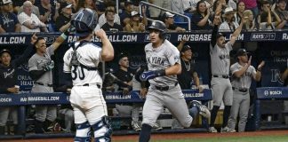 Volpe Scores As Yankees Defeat Rays 2-1