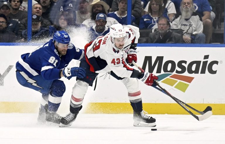 Tampa Bay Lightning defenseman Erik Cernak (81) and Washington Capitals right wing Tom Wilson battle for the puck during the second period of an NHL hockey game, Wednesday, Nov. 27, 2024, in Tampa, Fla. (AP Photo/Jason Behnken)