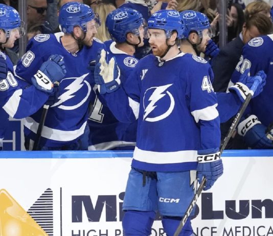 Tampa Bay Lightning defenseman Nick Perbix (48) celebrates with the bench after his goal against the Toronto Maple Leafs during the first period of an NHL hockey game Wednesday, April 9, 2025, in Tampa, Fla. (AP Photo/Chris O'Meara)