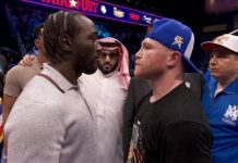 Canelo Alvarez vs Terence Crawford: The fight of the century?