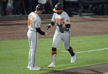 alt="Baltimore Orioles' Colton Cowser (17) celebrates with interim third base/infield coach Buck Britton (46) after his solo home run off Tampa Bay Rays pitcher Zack Littell during the fifth inning of a baseball game Tuesday, June 17, 2025, in Tampa, Fla. (AP Photo/Chris O'Meara)"