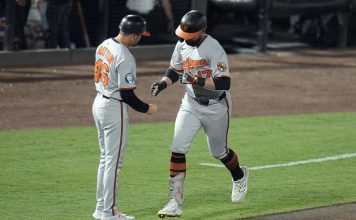 alt="Baltimore Orioles' Colton Cowser (17) celebrates with interim third base/infield coach Buck Britton (46) after his solo home run off Tampa Bay Rays pitcher Zack Littell during the fifth inning of a baseball game Tuesday, June 17, 2025, in Tampa, Fla. (AP Photo/Chris O'Meara)"