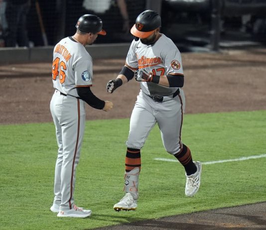 alt="Baltimore Orioles' Colton Cowser (17) celebrates with interim third base/infield coach Buck Britton (46) after his solo home run off Tampa Bay Rays pitcher Zack Littell during the fifth inning of a baseball game Tuesday, June 17, 2025, in Tampa, Fla. (AP Photo/Chris O'Meara)"