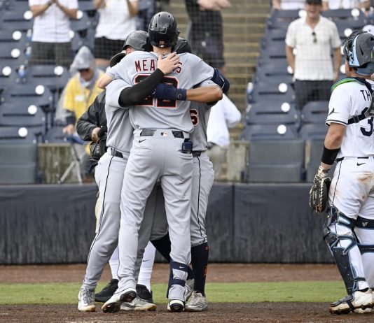 Tampa Bay Rays catcher Matt Thaiss (34) looks away as Detroit Tigers' Parker Meadows celebrates his three-run home run during the ninth inning of a baseball game against the Tampa Bay Rays, Sunday, June 22, 2025, in Tampa, Fla. (AP Photo/Jason Behnken)