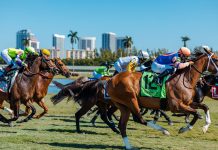 Hot scorching horse racing running Let 'em Run