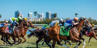 Hot scorching horse racing running Let 'em Run Gulfstream