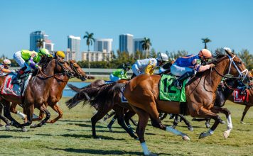 Hot scorching horse racing running Let 'em Run Gulfstream