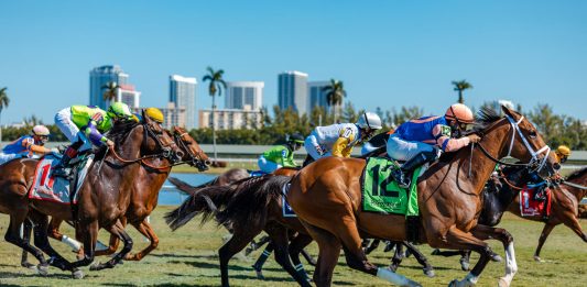 Hot scorching horse racing running Let 'em Run Gulfstream Monmouth