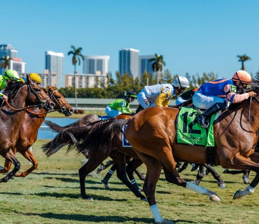 Hot scorching horse racing running Let 'em Run Gulfstream Monmouth