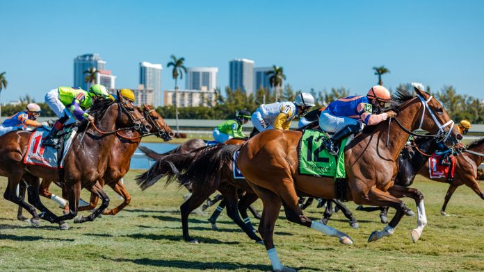 Hot scorching horse racing running Let 'em Run