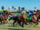 Hot scorching horse racing running Let 'em Run Gulfstream