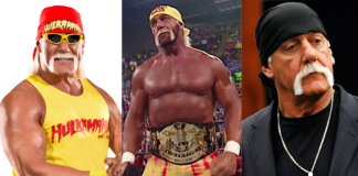 Hulk Hogan, Wrestling and Pop Culture Legend, Dies at 71 in Clearwater near his hometown.