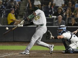 Athletics' Austin Wynns (29) hits a sacrifice fly during the 10th inning of a baseball game against the Tampa Bay Rays, Tuesday, July 1, 2025, in Tampa, Fla. (AP Photo/Jason Behnken)