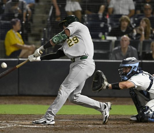 Athletics' Austin Wynns (29) hits a sacrifice fly during the 10th inning of a baseball game against the Tampa Bay Rays, Tuesday, July 1, 2025, in Tampa, Fla. (AP Photo/Jason Behnken)