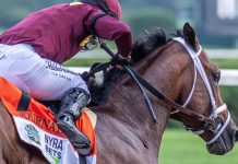 Haskell Let 'em Run