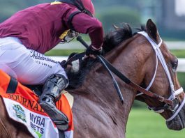 Haskell Let 'em Run