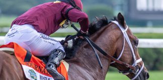 Haskell Let 'em Run