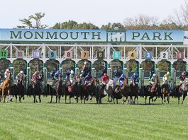 Monmouth Park Racetrack Let 'em Run