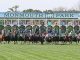 Monmouth Park Racetrack Let 'em Run