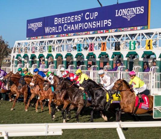 Breeders' Cup