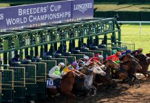 The 2025 Breeders’ Cup: Racing’s Richest Weekend Returns to Del Mar plus all the TV information.