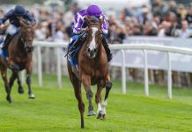 Breeders’ Cup Happy Hour with Let ’em Run: all picks Breeders' Cup