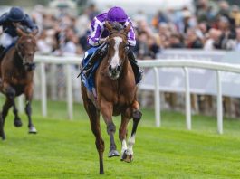 Breeders' Cup let 'em run