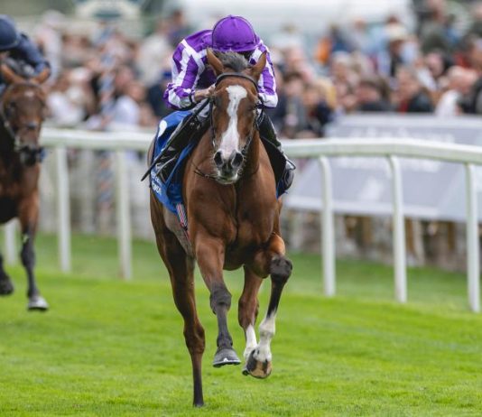 Breeders' Cup let 'em run