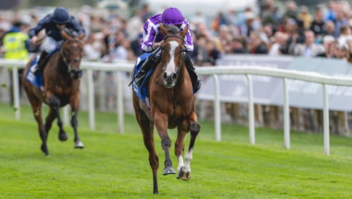 KAZ250821_Yorkshire_Okas_002 Breeders' Cup