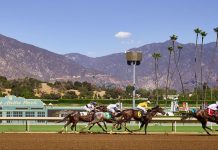 Del Mar Breeders' Cup