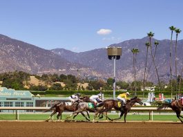 Del Mar Breeders' Cup