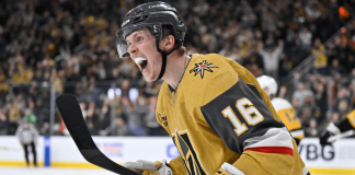 Pavel Dorofeyev is the Hockey Stick Fittings Player of the Month