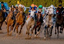 Pegasus World Cup on tap for Let ’em Run Pegasus World Cup